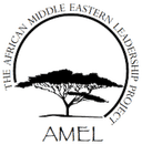 AMEL Project